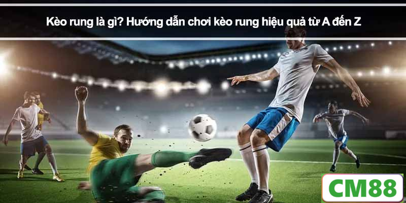 Các loại kèo rung phổ biến hiện nay