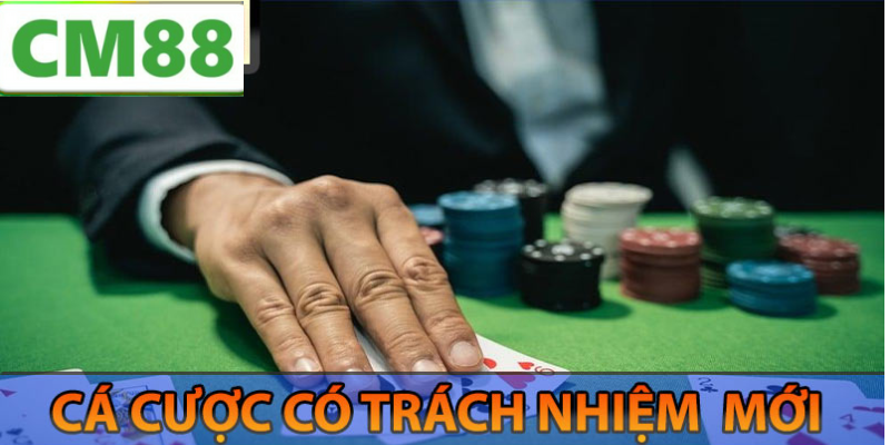 Khái Niệm Trách Nhiệm Người Chơi